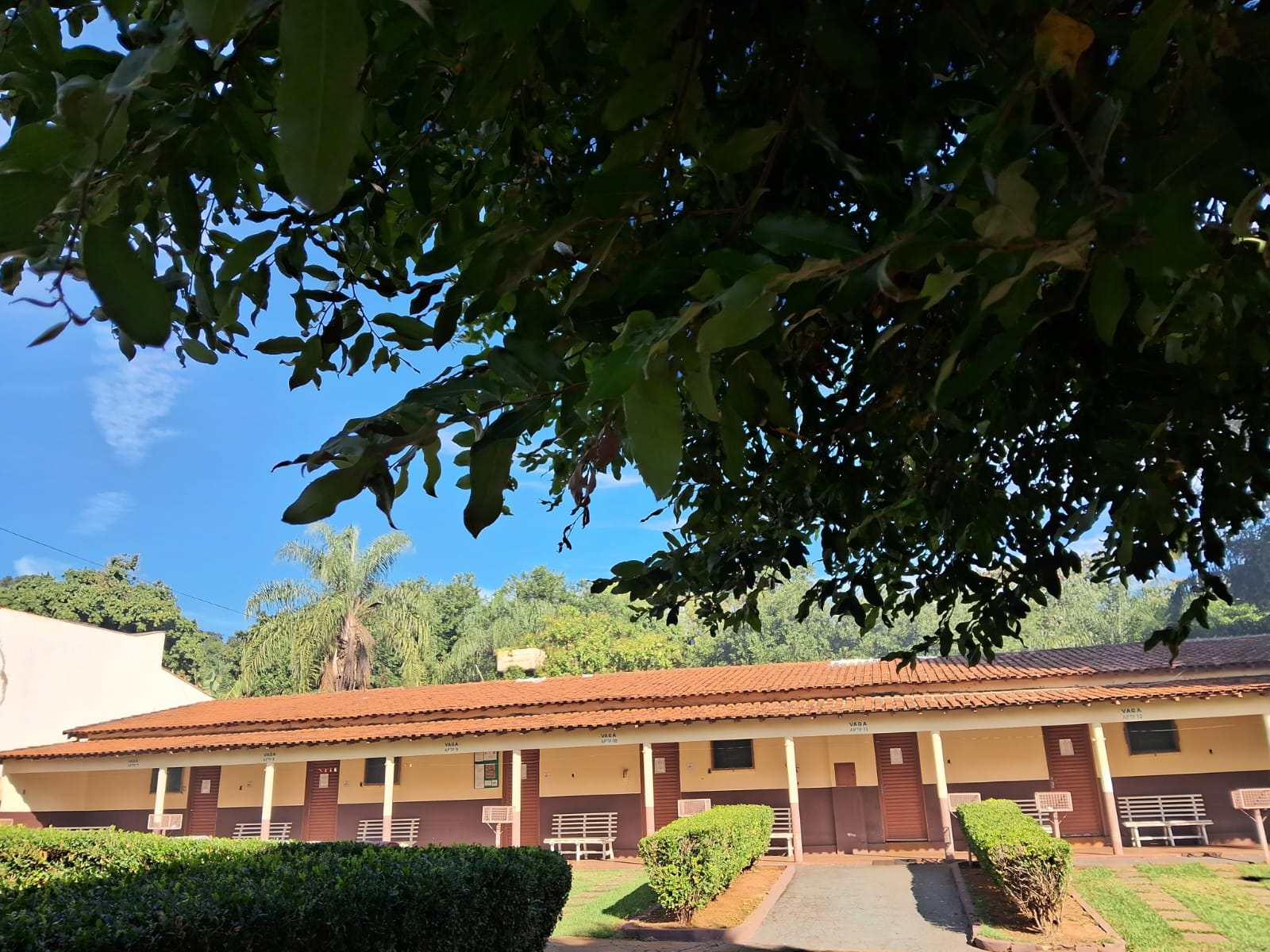 Cardoso - foto 3